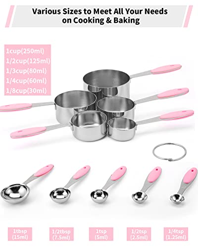 Stainless Steel Measuring Cups and Spoons Set of 10 Piece