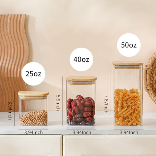 Glass Food Storage Containers with Lids 6 Pack (6 Count)