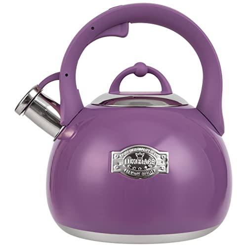 Tea Kettle for Stovetop