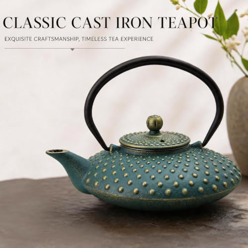 27.1oz Small Cast Iron Teapot with Infuser for Loose Tea