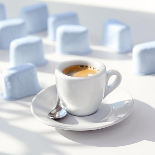 12 Water Filters for Breville Espresso Machines (12 Count)