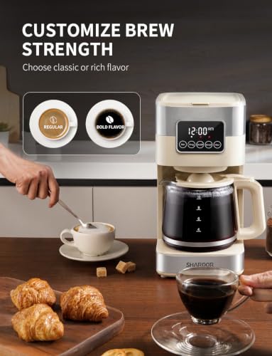 10 Cup Programmable Coffee Maker