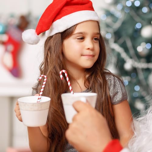 30 Pcs Christmas Drink Stirrers Candy Cane Stir Sticks (30 Count)