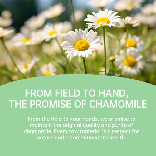 Chamomile and Lavender Herbal Tea Stress Relief Support Sleep (20 Count)