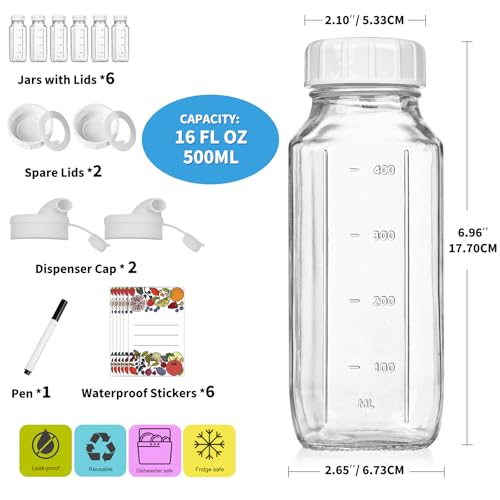 6 Pack 16 Oz Glass Juice Bottles with Lids (6 Count)
