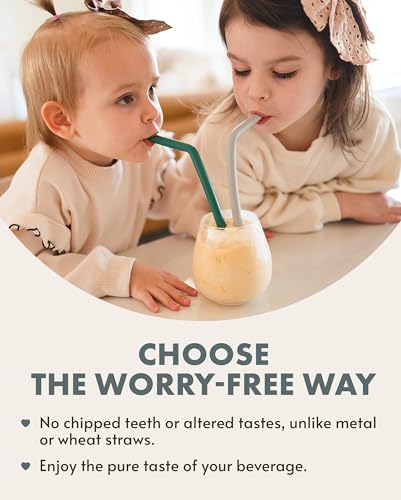 Silicone Smoothie Straws (6 Count)