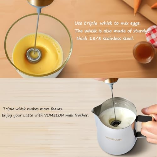 Milk Frother Handheld