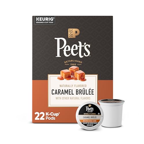 Coffee Pods Medium Roast (22 Count (Pack of 1))