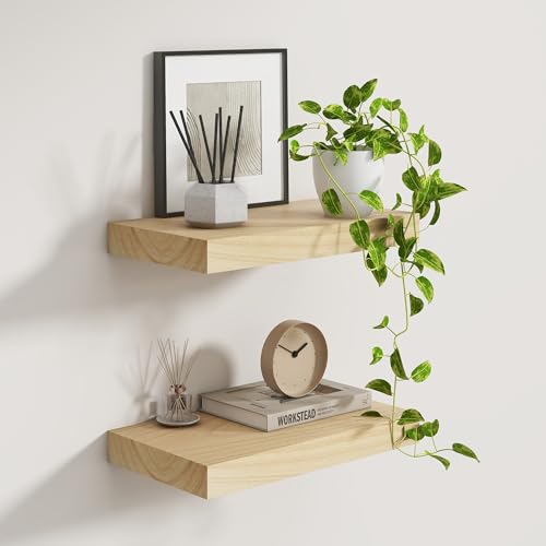 Deep Floating Shelves 16 Inch Long (2 Count)