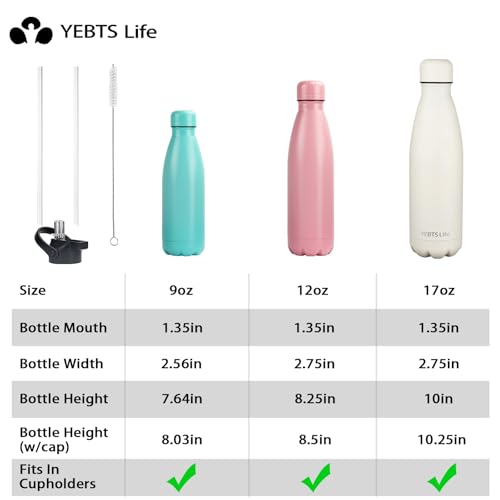 Insulated Water Bottle (2 Count)