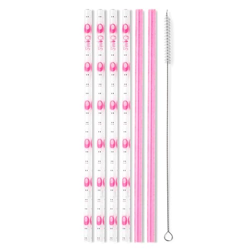 Pack of 6 Reusable Plastic Straws with Cleaning Brush (6 Count)