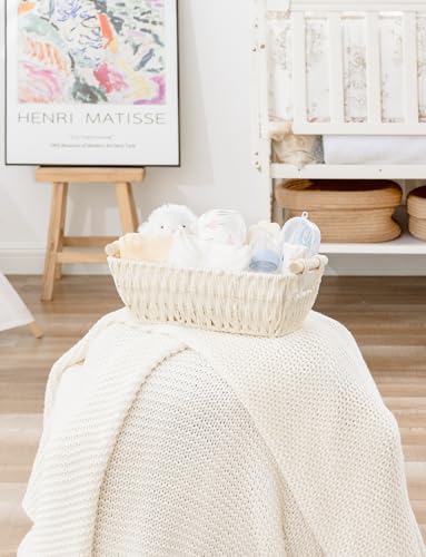 Small Storage Basket (2 Count)