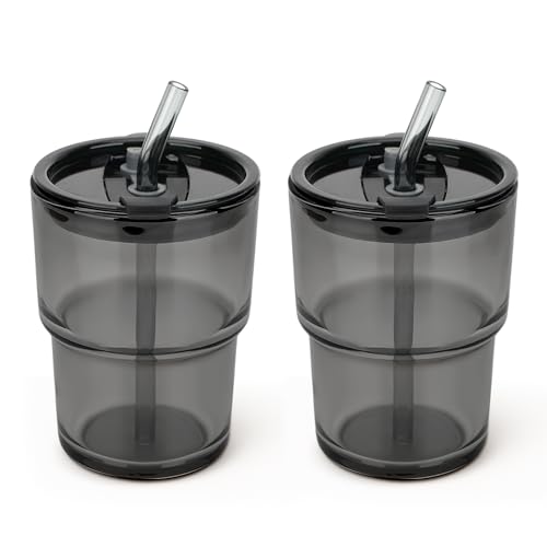 13 oz Glass Tumbler with Glass Straw and Lid (2 Count)