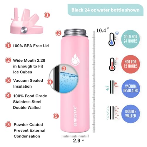 Stainless Steel Wide Mouth Water Bottle 24oz Double Wall Vacuum Insulated Leak Proof Bottle with New Flex Straw Lid & Spout Lid