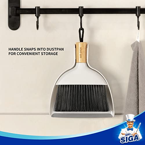 Mini Dustpan and Brush Set
