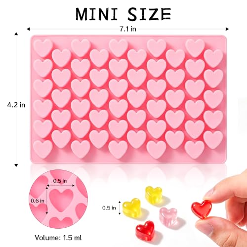 Heart Mini Silicone Gummy Molds with 1 Dropper