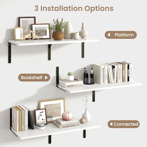 Floating Shelves for Wall (2 Count)
