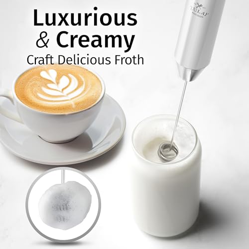 Rechargeable Milk Frother Handheld