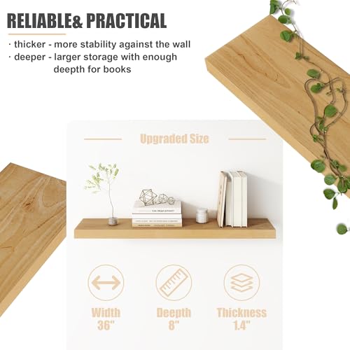 Floating Shelves for Wall (2 Count)