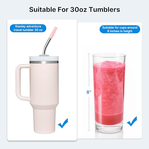 Repeatable Metal Straw with Silicone Tips for 30 oz Stanley Tumbler