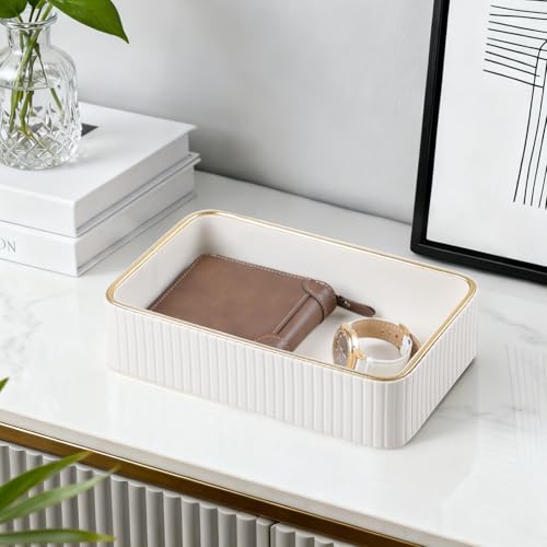 Desk Organizer Tray