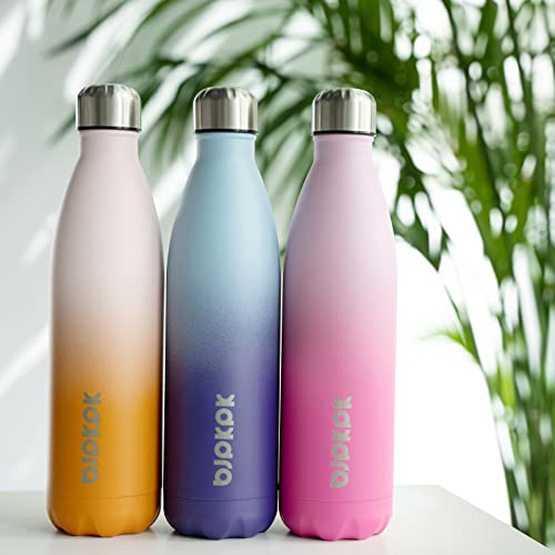 25 oz Insulated Water Bottle