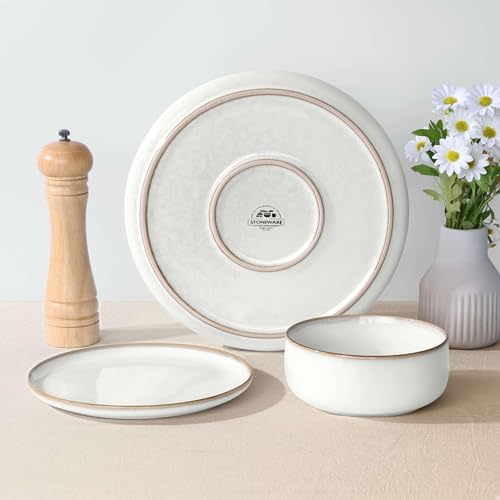 Ceramic 10.43 Inch Dinner Plates Set of 6