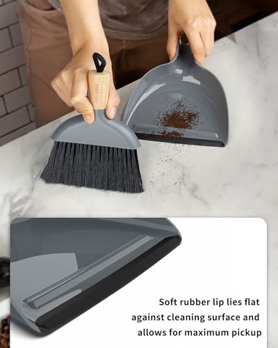 Mini Dustpan and Brush Set