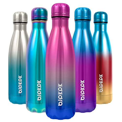17 oz Insulated Water Bottle