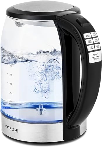 Electric Kettle with Temperature Control