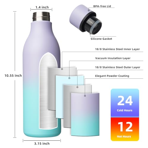 25oz Insulated Water Bottle
