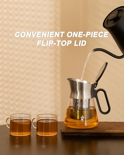 Glass Teapot with Infuser with 2 Cups for Loose Tea Steeper