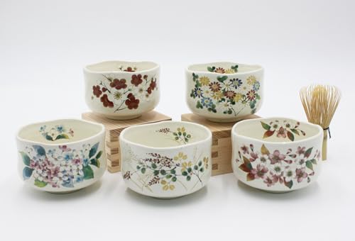 Japanese Traditional Handcrafted Matcha Chawan Tea Bowl Cup Set of 5 Ceremony Tableware Pottery
