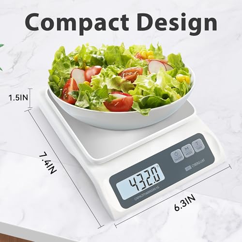 13lb 0.1g Precision Digital Food Scale