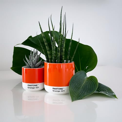 Copenhagen Design Pantone Macchiato Cup