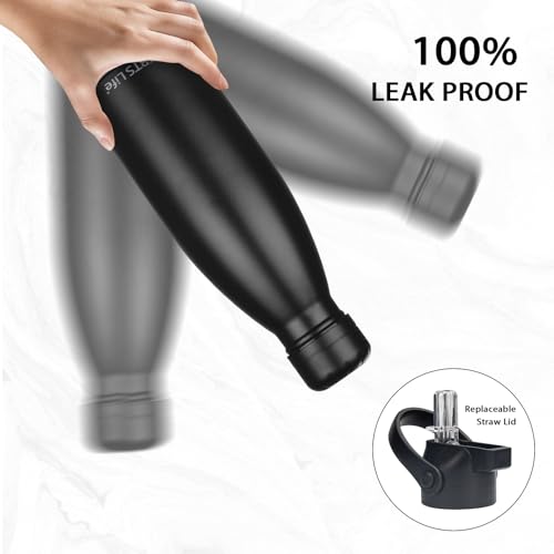 Insulated Water Bottle (2 Count)