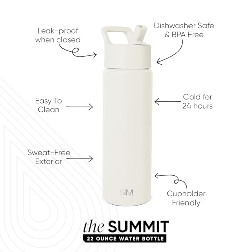 Insulated Water Bottle with Straw