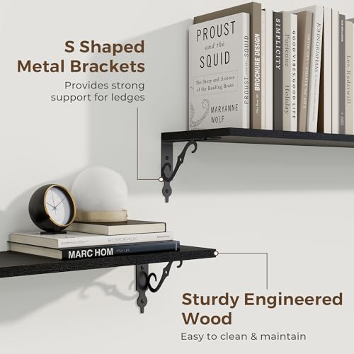 Floating Shelves for Wall Decor (2 Count)