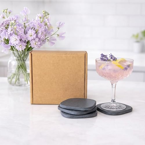 4 Pack Diatomite Absorbent Coasters for Drinks (4 Count)