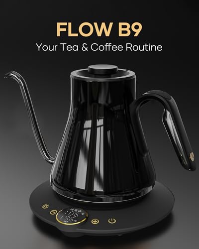 Gooseneck Electric Kettle