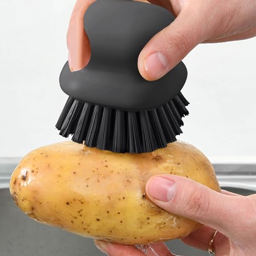 2Pack Dish Scrub Brush (2 Count)