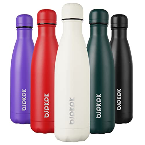 17 oz Insulated Water Bottle