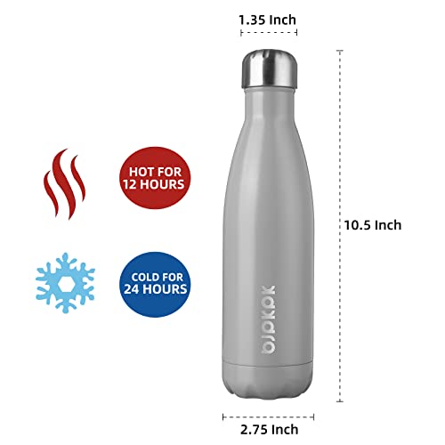 17 oz Insulated Water Bottle