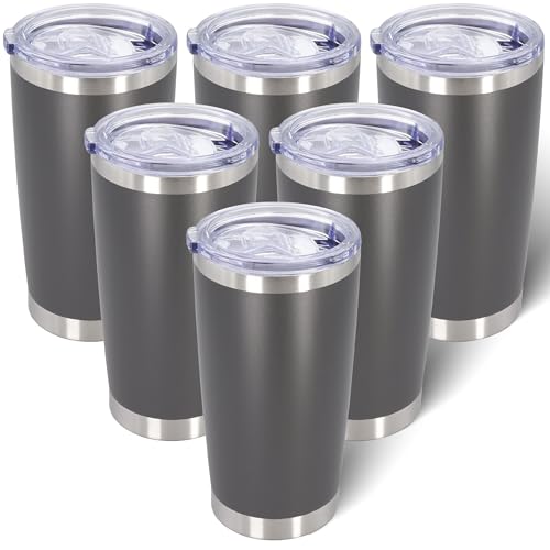 20oz Tumbler with Lid Stainless Steel Tumblers Insulated Mug Grey 6P (6 Count)