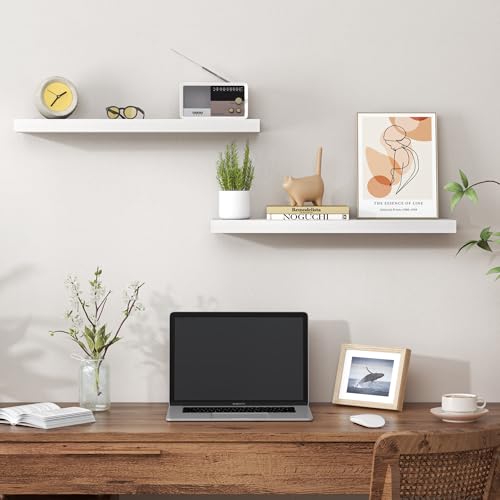 24 Inch Floating Shelves for Wall (2 Count)