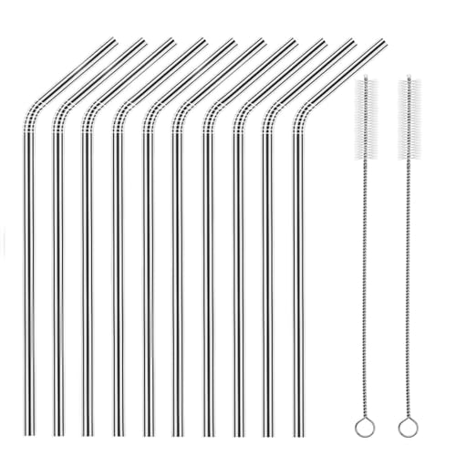 Set of 10 Stainless Steel Straws (10 Count)