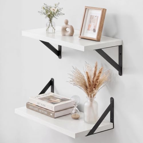 Wall Mounted Floating Shelves Set of 2 (2 Count)