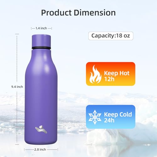 18 oz Insulated Stainless Steel Metal Water Bottle with Strap