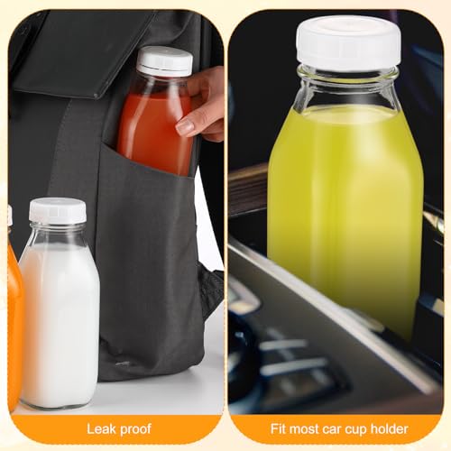 10 Pack 16 oz Glass Milk Bottles with Lids (10 Count)