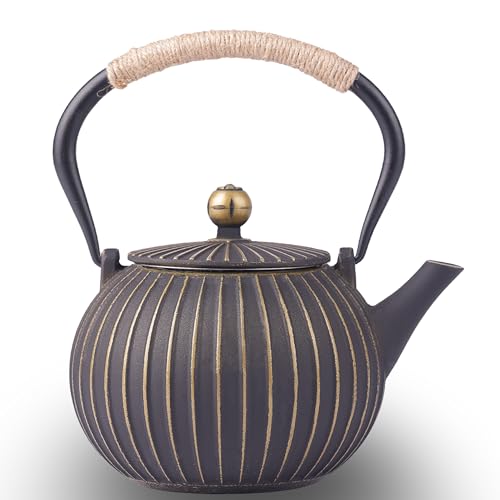 Cast Iron Teapot 40oz Infuser